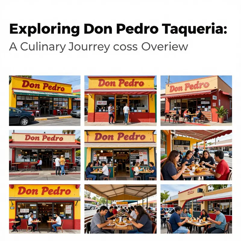 A vibrant overview of the Don Pedro Taqueria locations, perfect for experiencing authentic Mexican dishes.